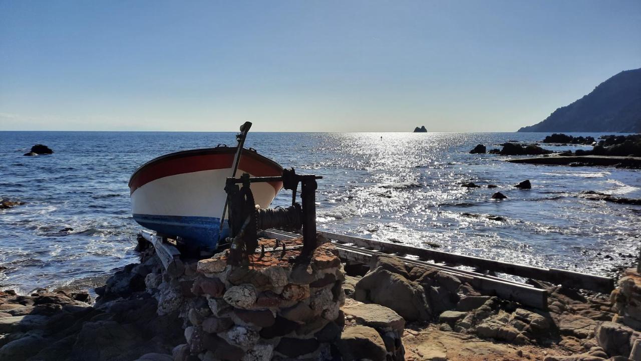 Les Bois Flottes . Plage De La Verne La Seyne-sur-Mer Eksteriør bilde