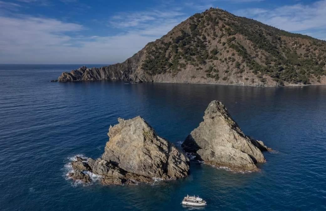 Les Bois Flottes . Plage De La Verne La Seyne-sur-Mer Eksteriør bilde
