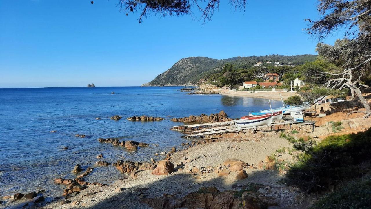 Les Bois Flottes . Plage De La Verne La Seyne-sur-Mer Eksteriør bilde